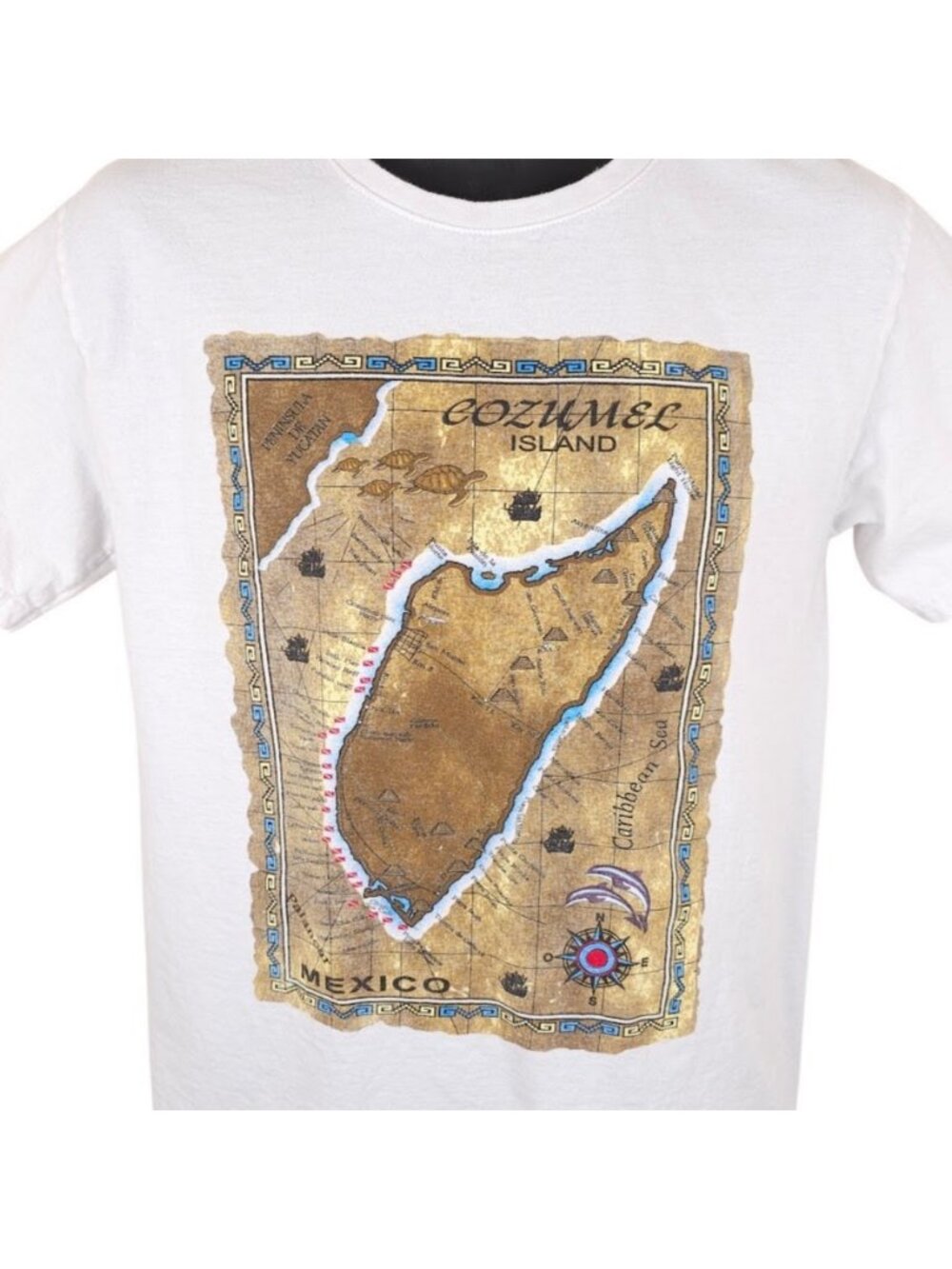 Cozumel T Shirt Mens Size Medium White Mexico Travel Destination Tee
